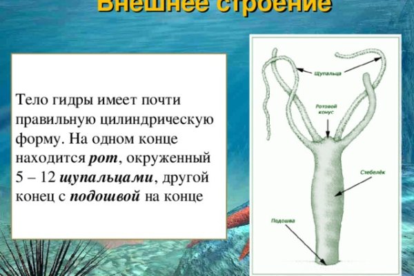 Восстановить доступ к кракену