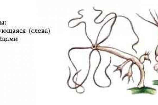 Kra34.at